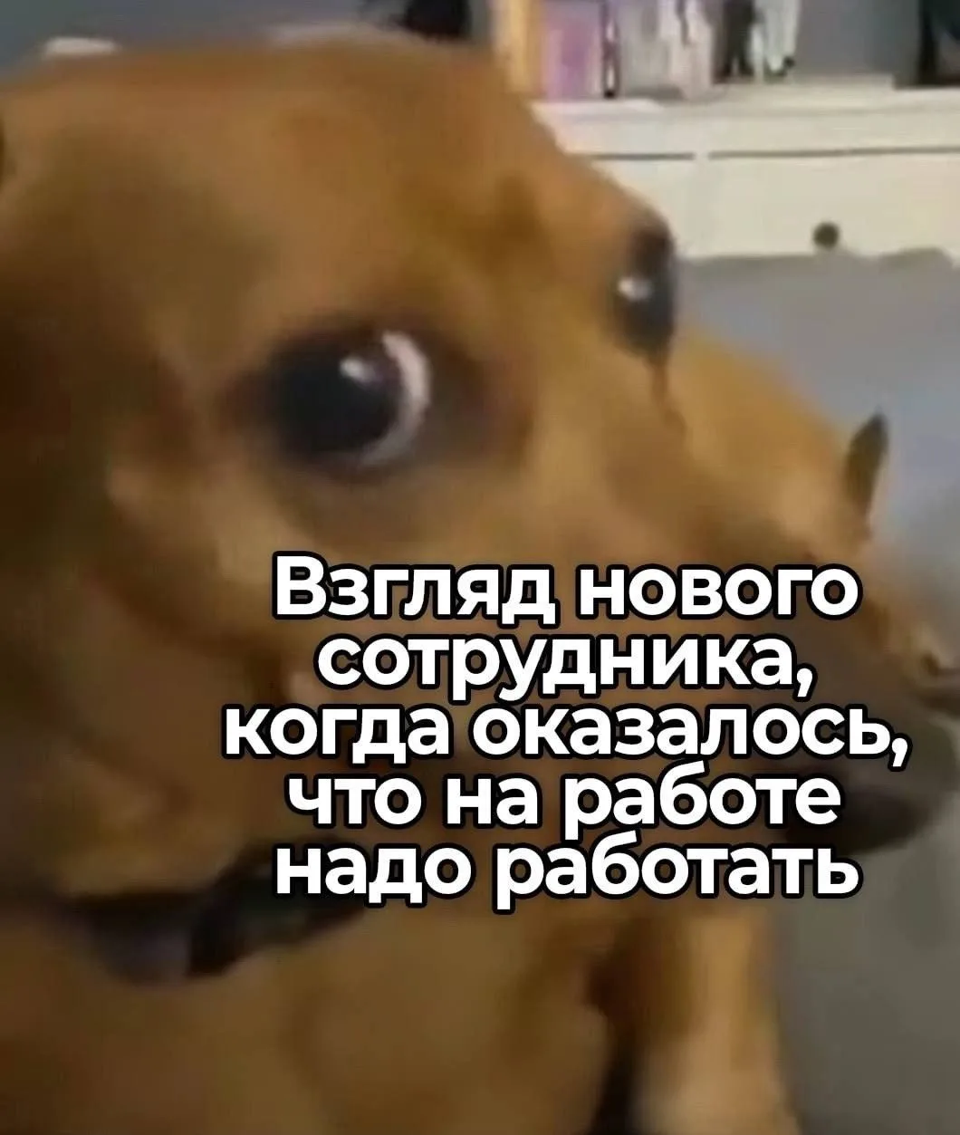 Мем смешной, ситуация страшная 😅