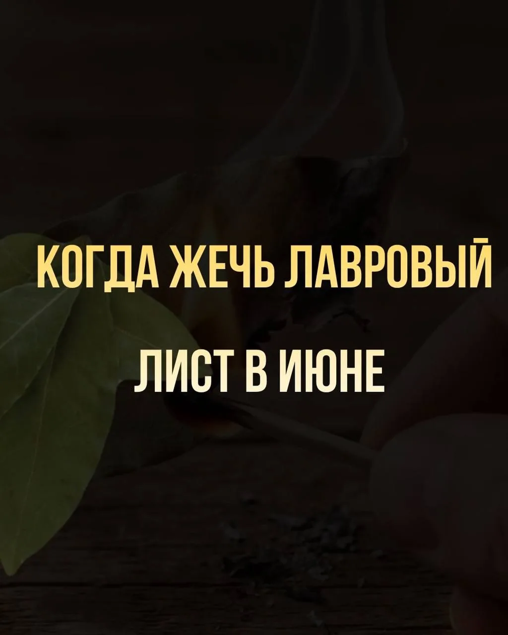 Весь июнь россияне жгут лавровые листья чтобы разбогатеть, получить повышения на работе...