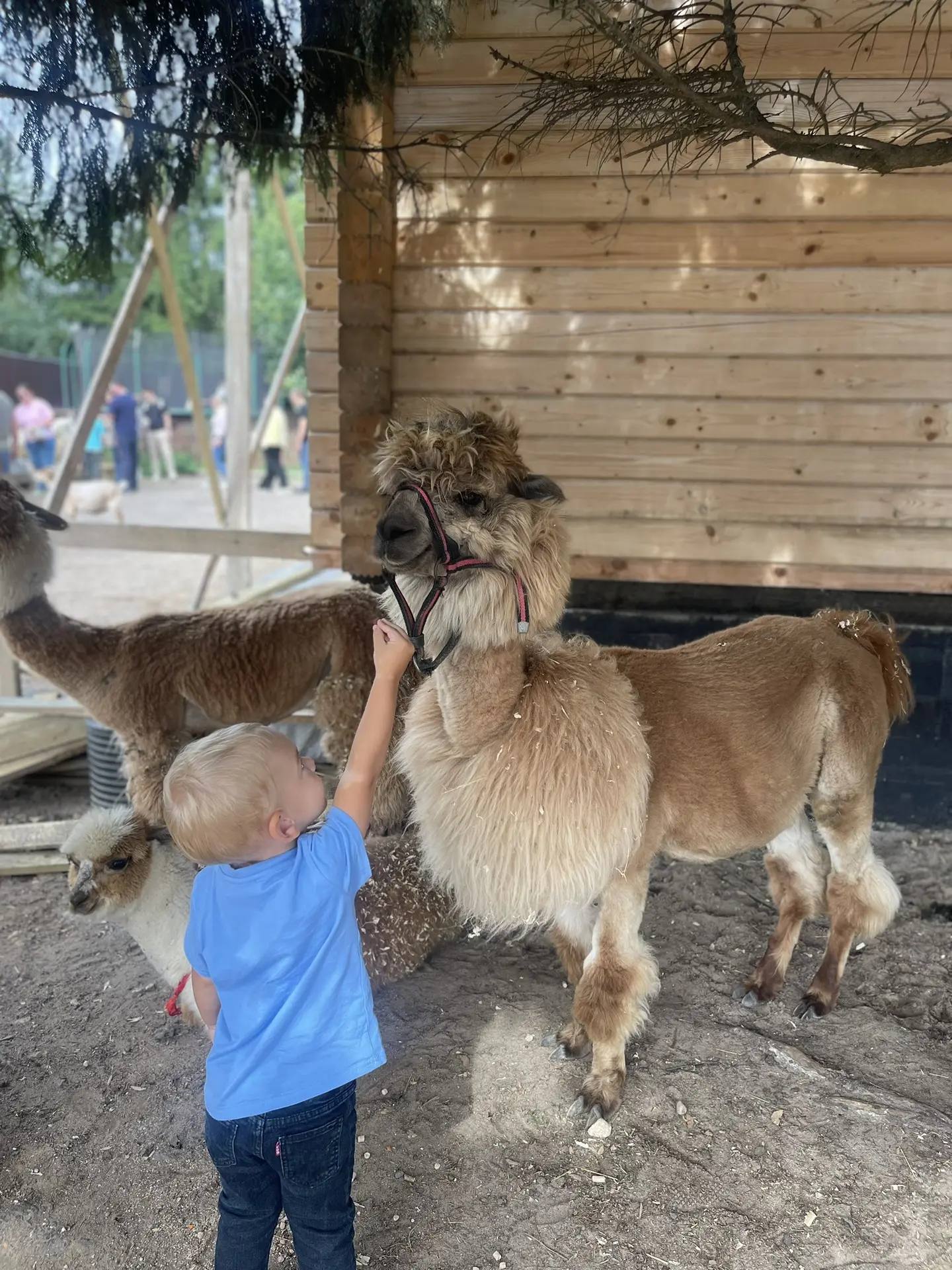 ☀️ Когда лето на исходе, хочется успеть поймать максимум ярких моментов.