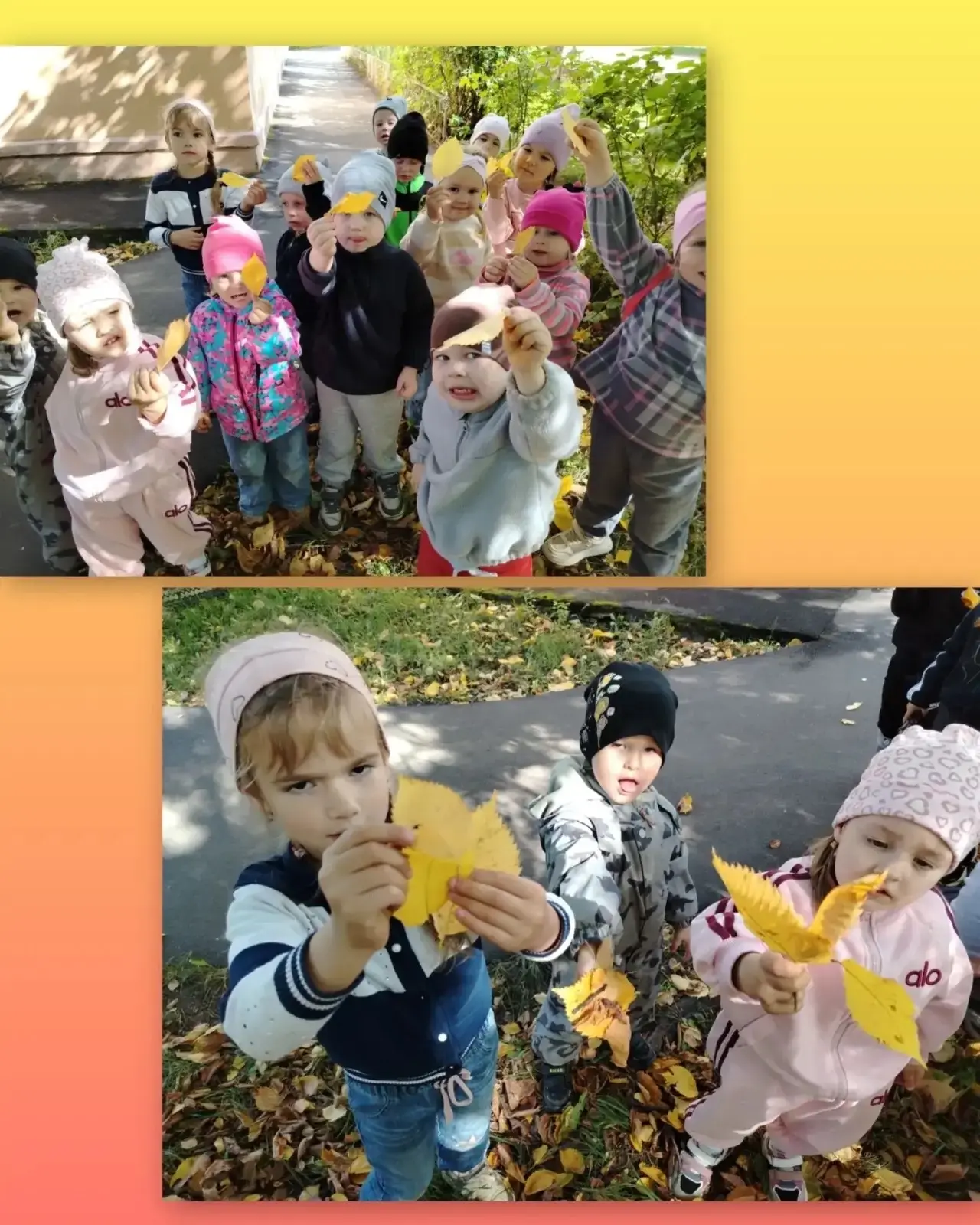 🍁 В группе "Солнечные зайчики" -тематическая неделя "Краски осени.