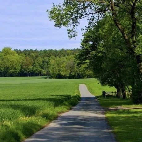 🌳Дорогие друзья, в последний день лета всегда хочется себя чем-то порадовать, давайте ...