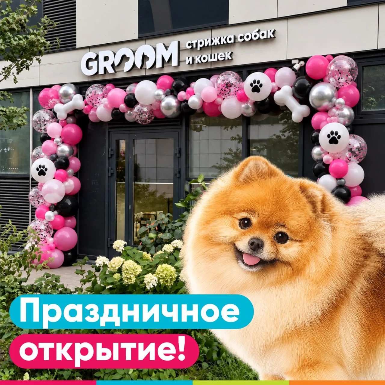 🎉 Праздничное открытие GROOM в ЖК Летний сад! 🐶🐱