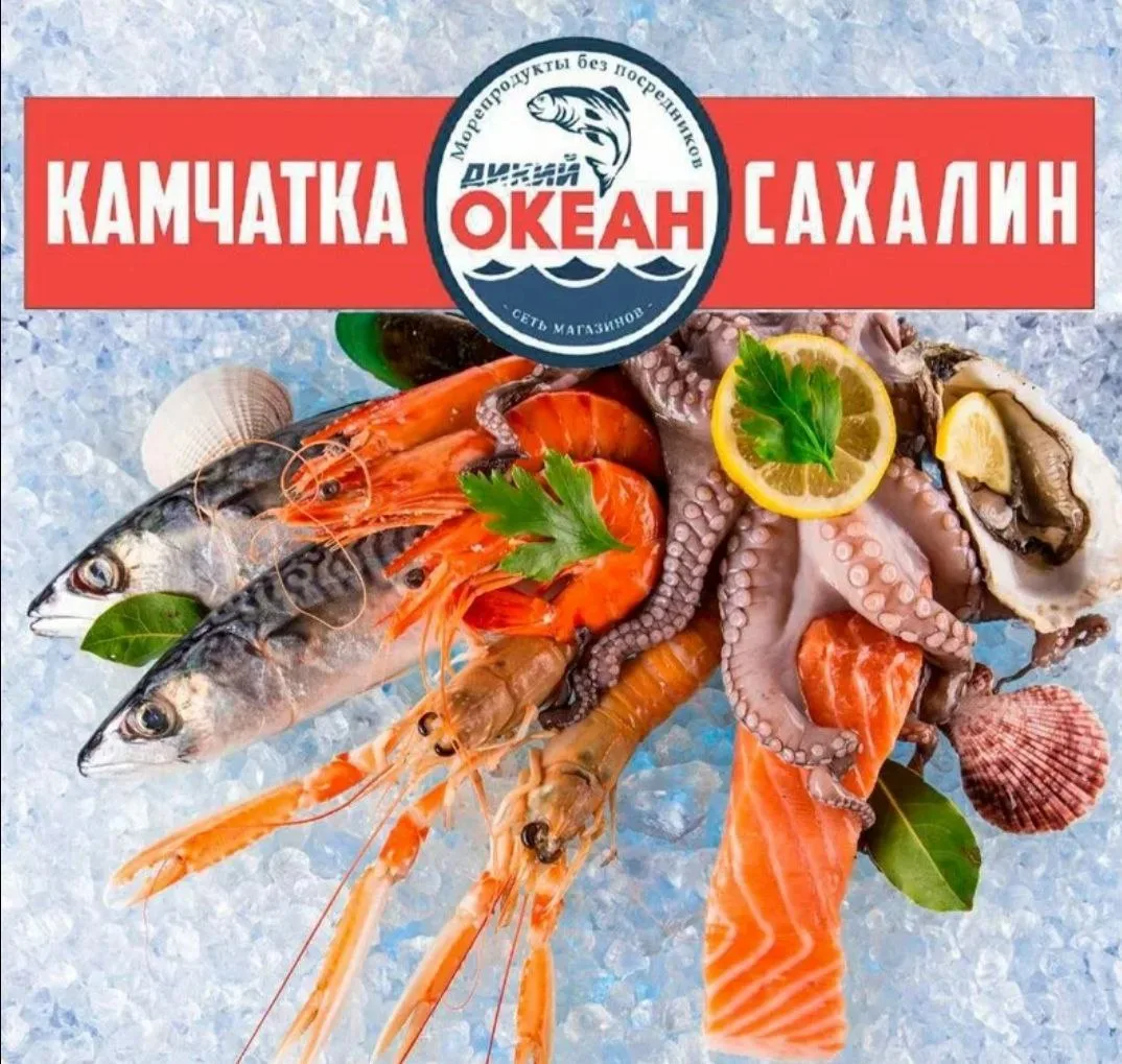 Мы вернулись! И теперь ещё ближе к вам 🏠🐟
