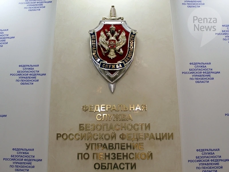 Вступил в силу приговор мужчине, осужденному за госизмену