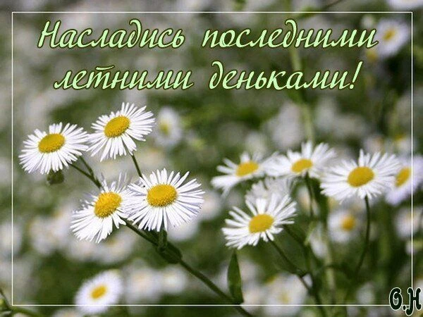 🌺Стали дни уже короче,