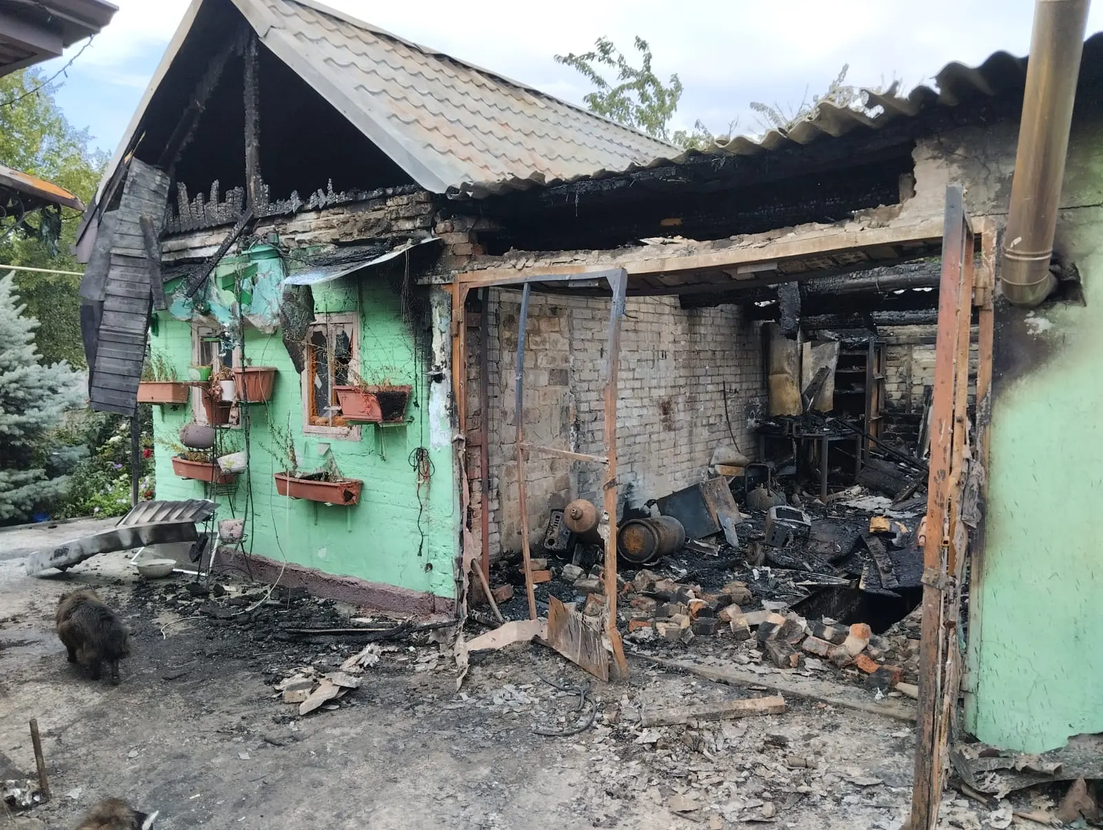 В Новочеркасске огонь уничтожил гараж и летнюю кухню