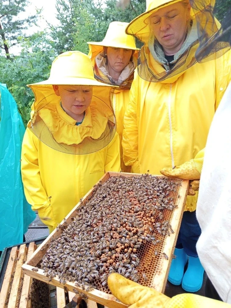 Когда дождь не в тягость, а в радость: день агроотряда на пасеке 🌧️✨
Пусть за окном и лил дождь, но