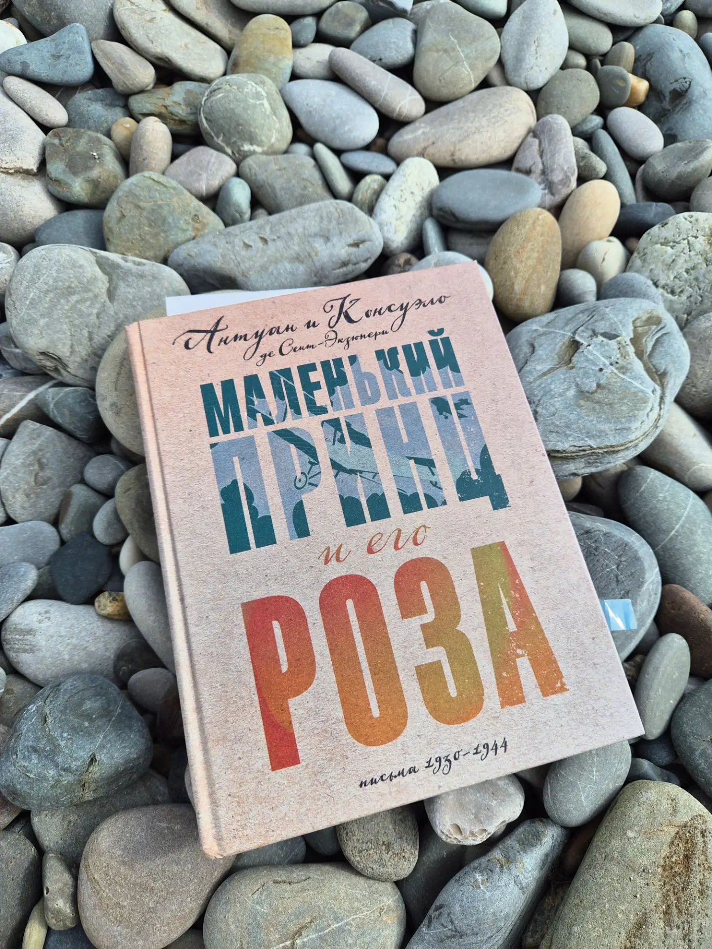 Пляжная книга этого отпуска: «Маленький принц и его роза» 🌹