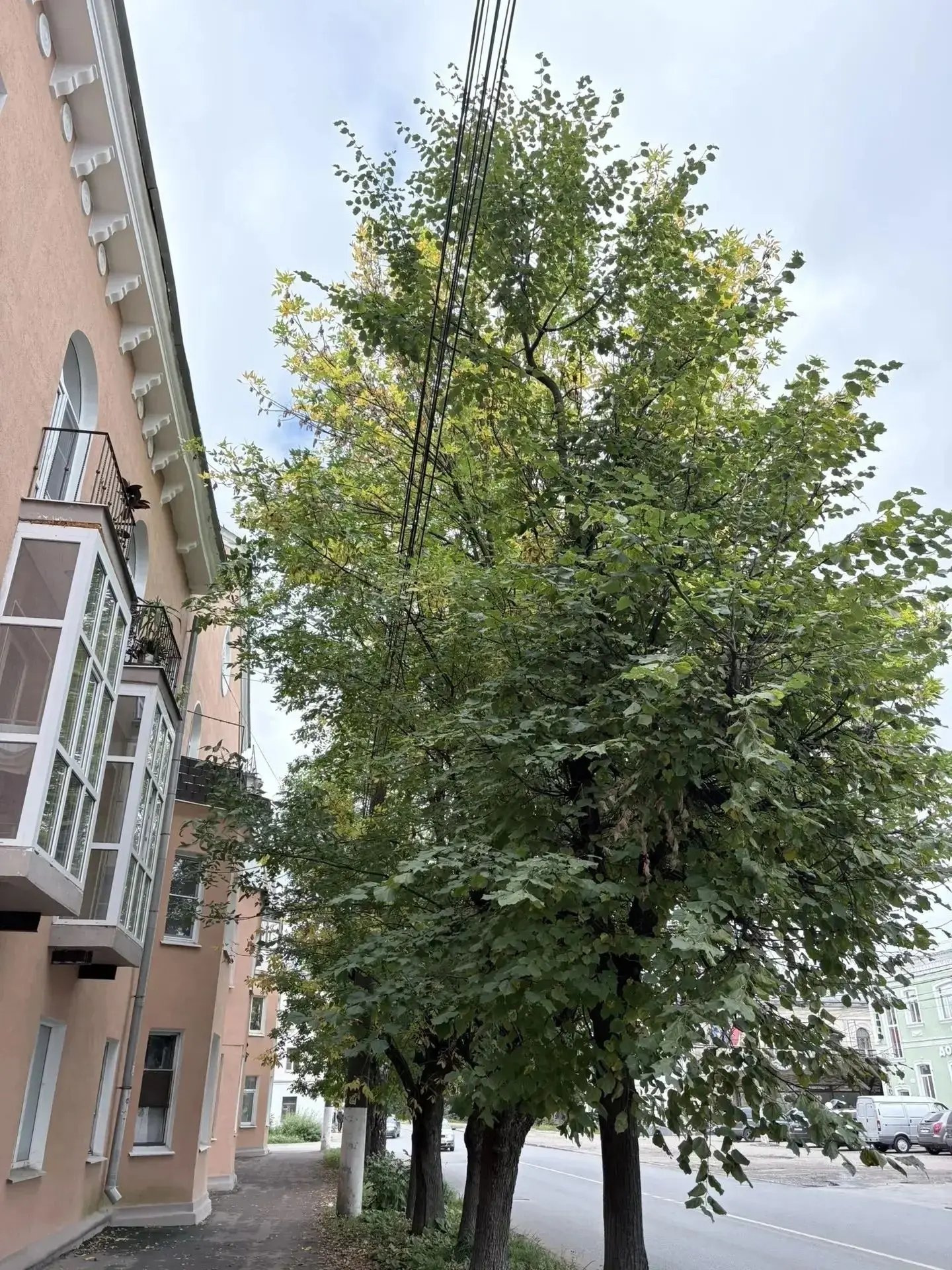🛑 Уважаемые жители и гости Твери!