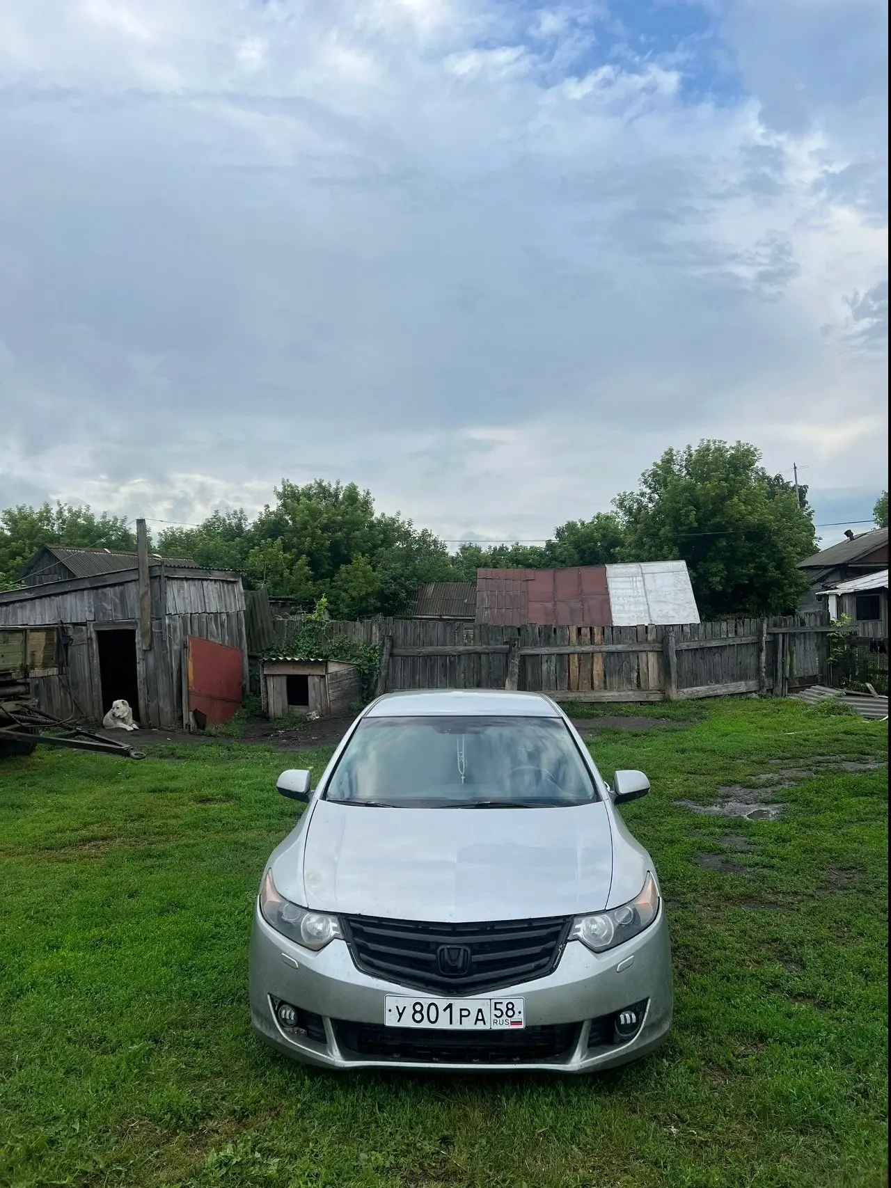 Продам Honda accord 8