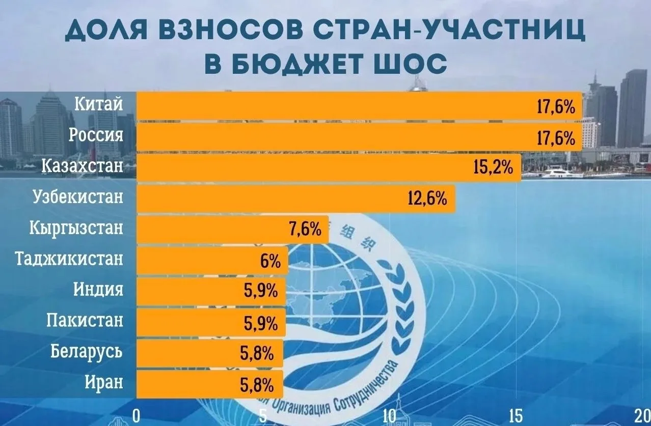 На первый взгляд — просто проценты. Но на самом деле перед вами мини-карта сил внутри Ш...