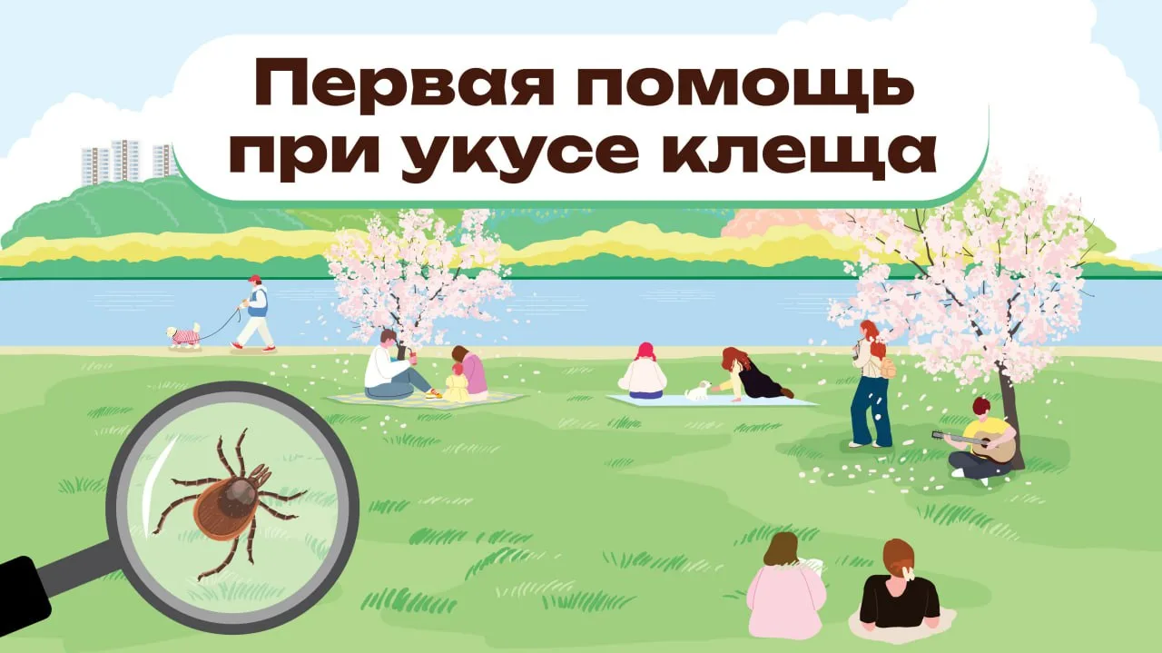 🐜Весна — время оттепели после долгой зимы, прогулок по паркам  и... клещей, которые мо...