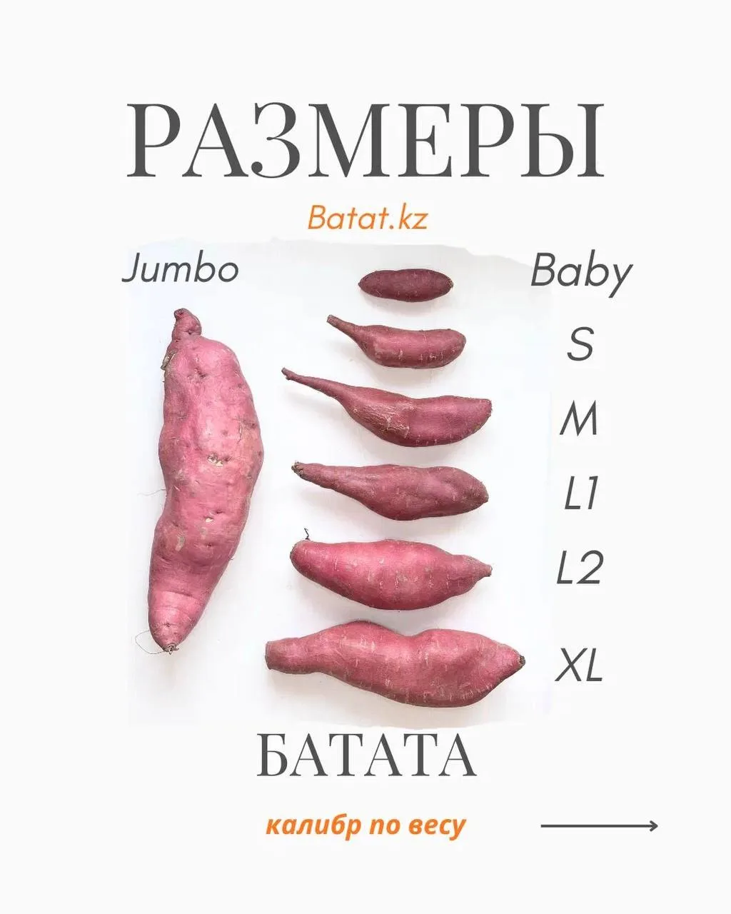 Они даже аналитику подогнали. Не могу просто.