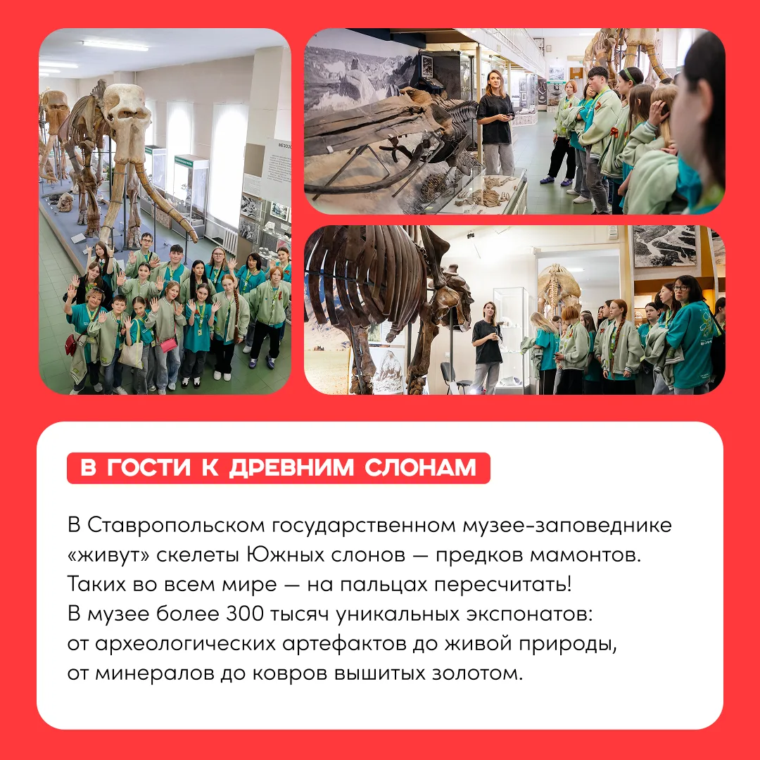 Уже выступил? Поехали в путешествие по Ставрополю  Собрали для тебя подборку экскурсий. Посетить мож