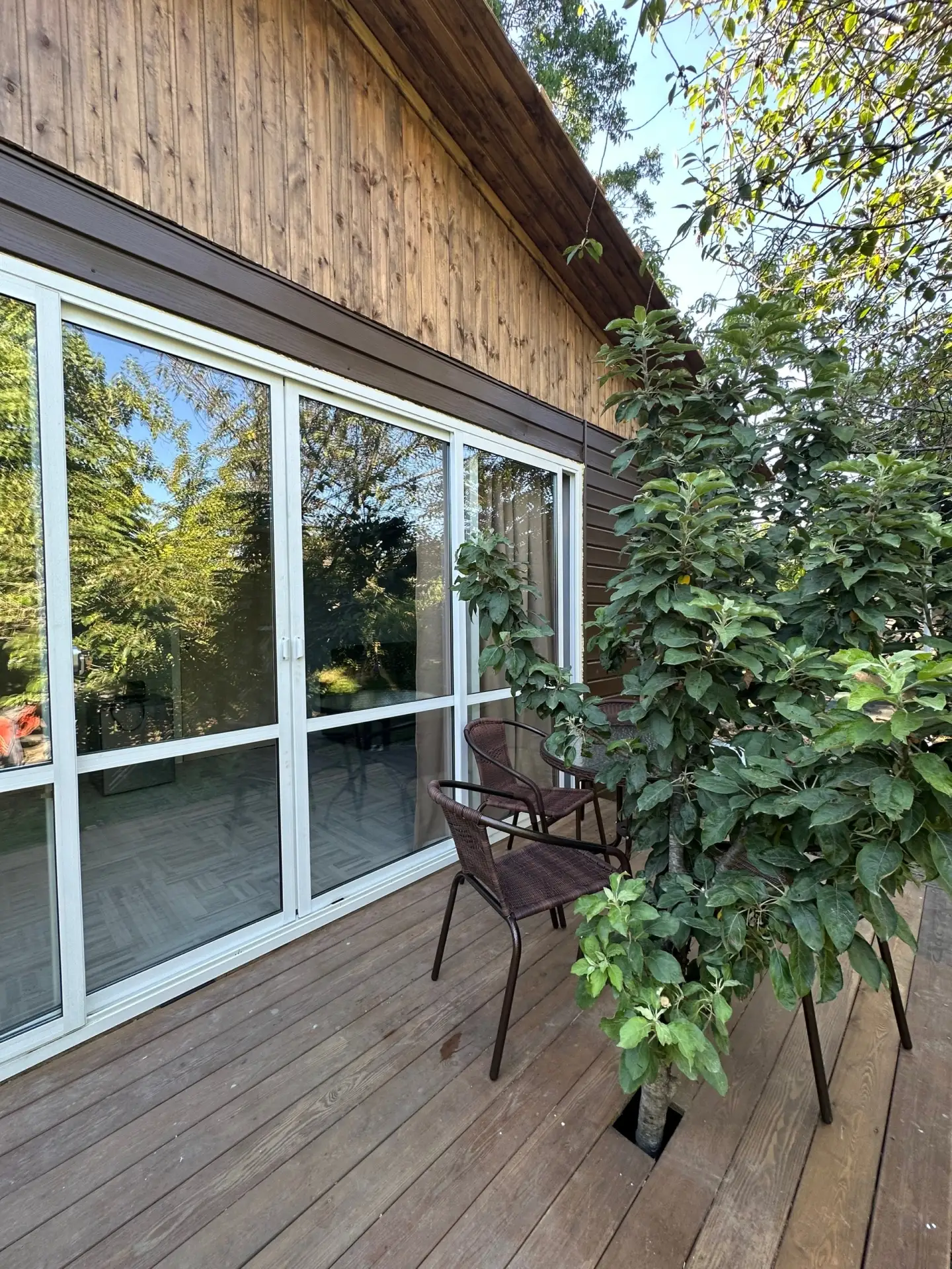 #ЦАНДРИПШ  Добро пожаловать 🫶 в наши гостевые домики «АЛИША» 🏡 расположенные, в поселке Цандрипш, в 