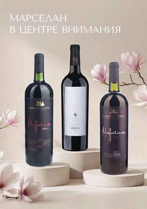 Марселан: от «провала» до шедевра 🍷🌑