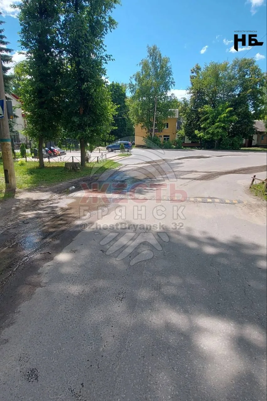 😱 В посёлке Новые Дарковичи уже несколько месяцев из-под земли бьёт вода