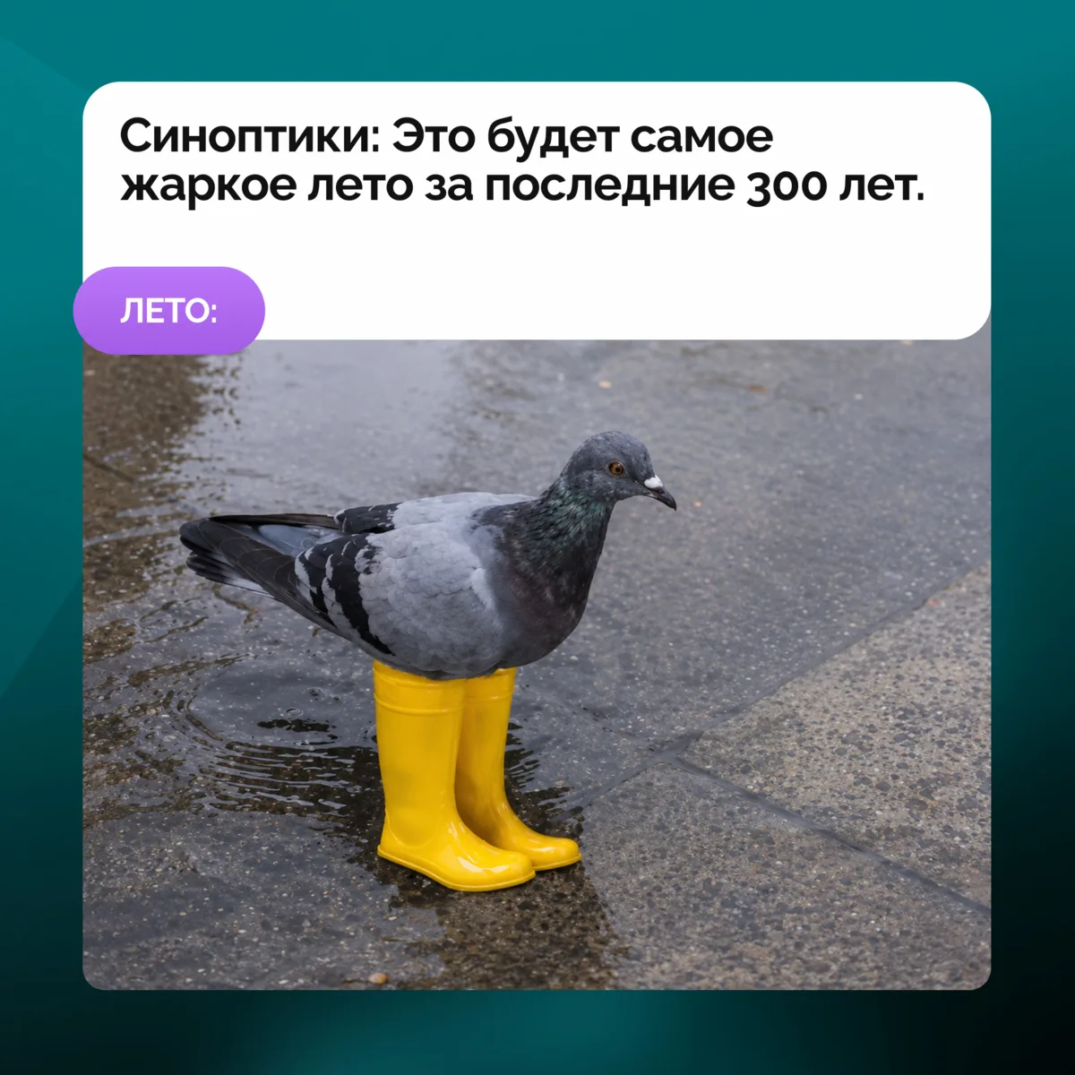 Июнь в самом разгаре! Но расслабляться рано: кабачки уже выехали!

Собрали мемы про лето. Тут кажд