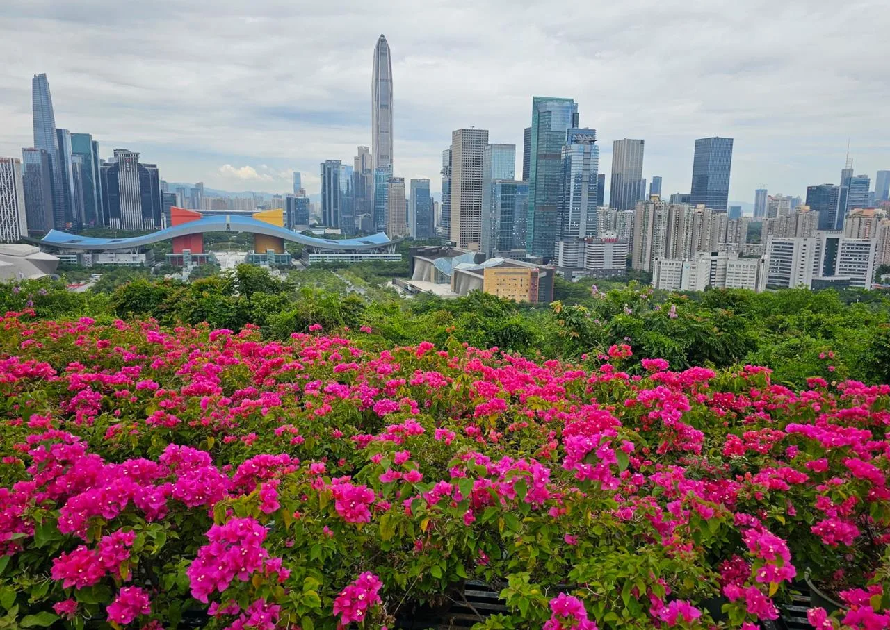 Парк Ляньхуашань в Шэньчжэне, Китай 🇨🇳  🔹 Ляньхуашань или Гора Лотоса - главный парк Шэньчжэня площа
