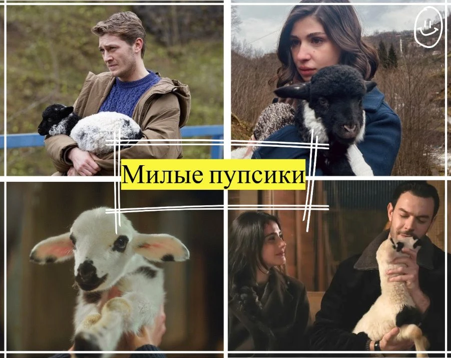 Н Ну как тут не улыбнуться?