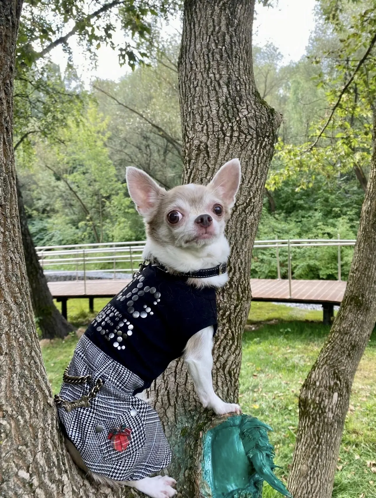 🐾🙈🙃
Слово не воробей
Работа не волк,
Голод не тетка-
КРУГОМ ОБМАН😅😬