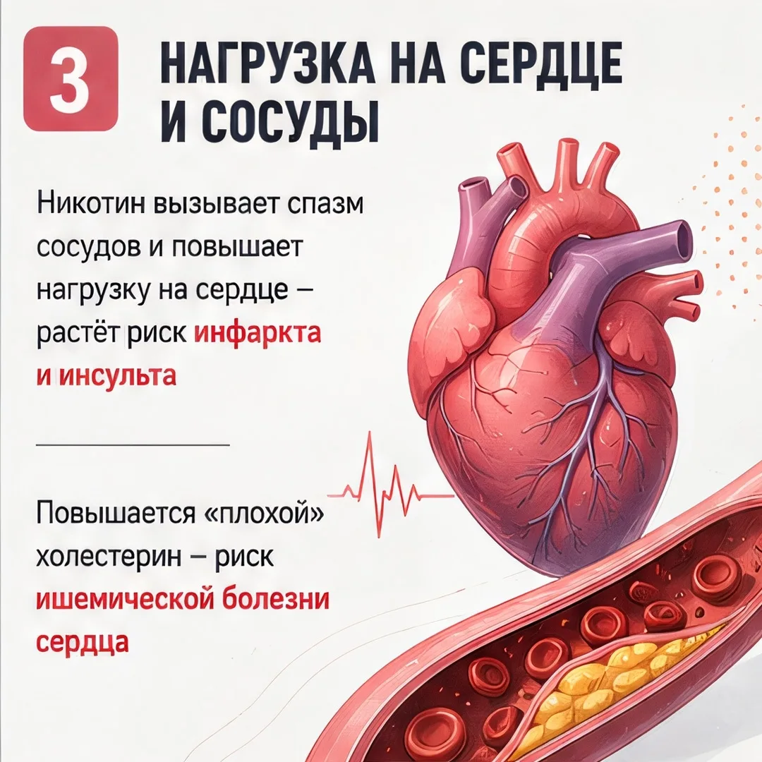 Изображение 3 к публикации «Подслушано Мулино | Смолино | Новосмолинский | Нижний Новгород | Ильиногорск | Гороховец | Володарск | Решетиха | Желнино | Работа | Вакансии»