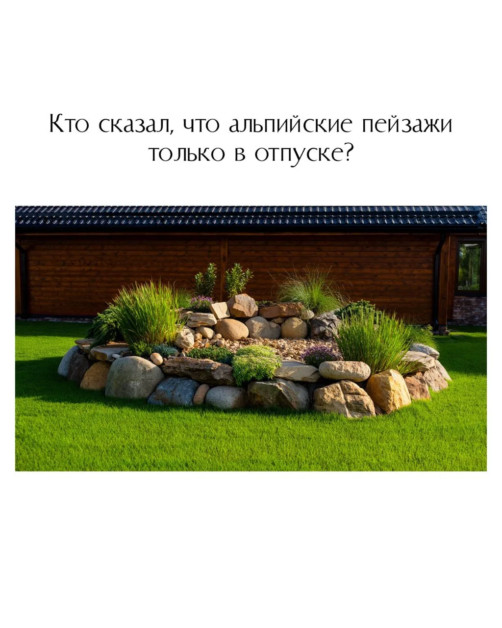 Седумы / очитки — разные виды (от ковровых до более высоких). Осенью особенно красивы.