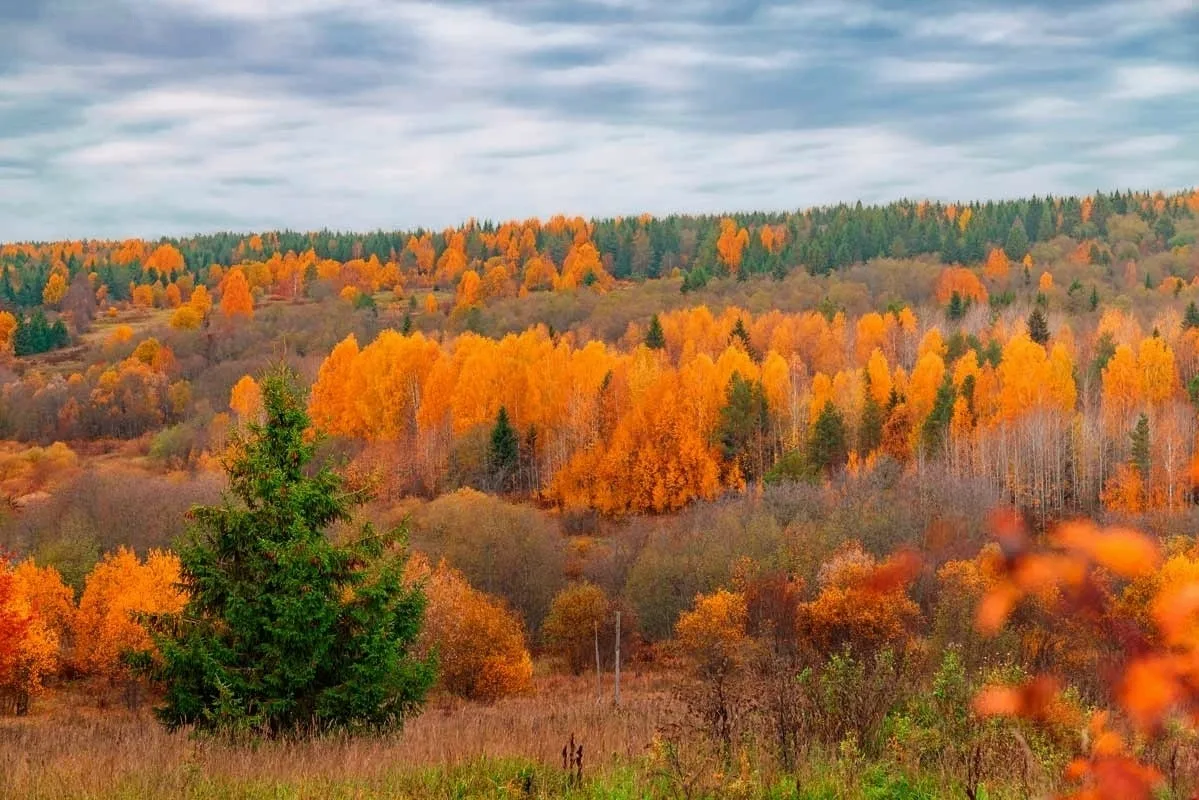 😍 Вологодская область, Харовский район