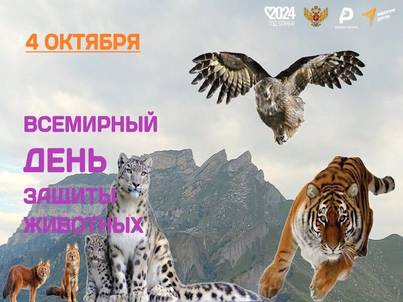 2 октября, в преддверии Международного дня защиты животных, для учеников первых классов...