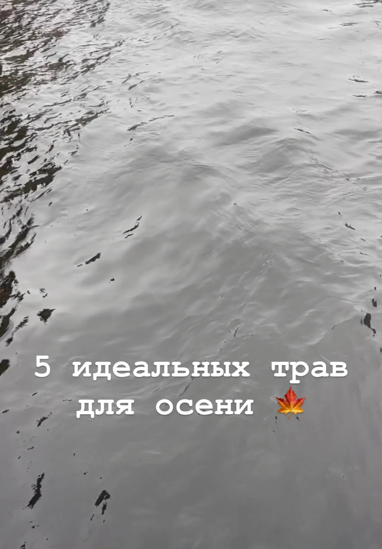 Осень — время не увядания, а накопления ресурса. Для женщины это период бережного отнош...