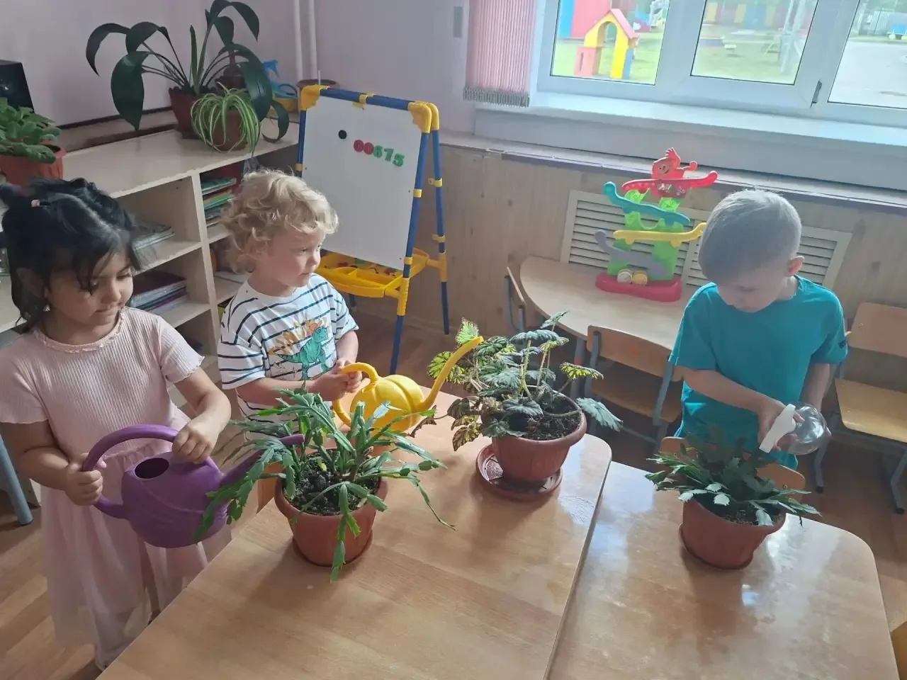 🌳 День юных натуралистов под сенью берёзы 🌳 

На днях в нашем детском саду прошел замечательный «Д