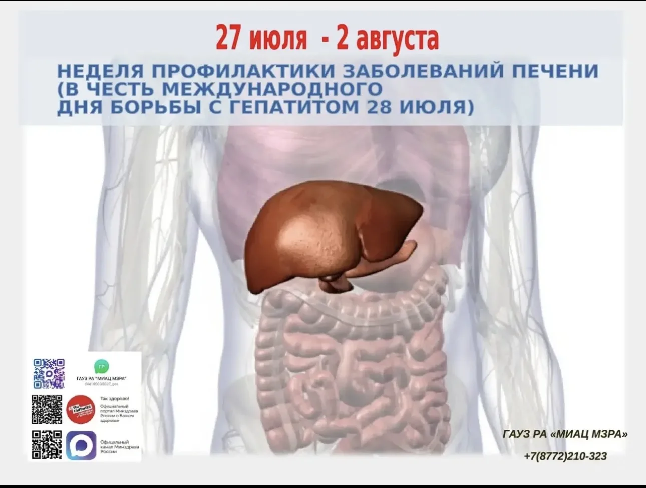 Неделя профилактики заболеваний печени: сохраните свой главный фильтр!

С 27 июля по 2 августа в Рес