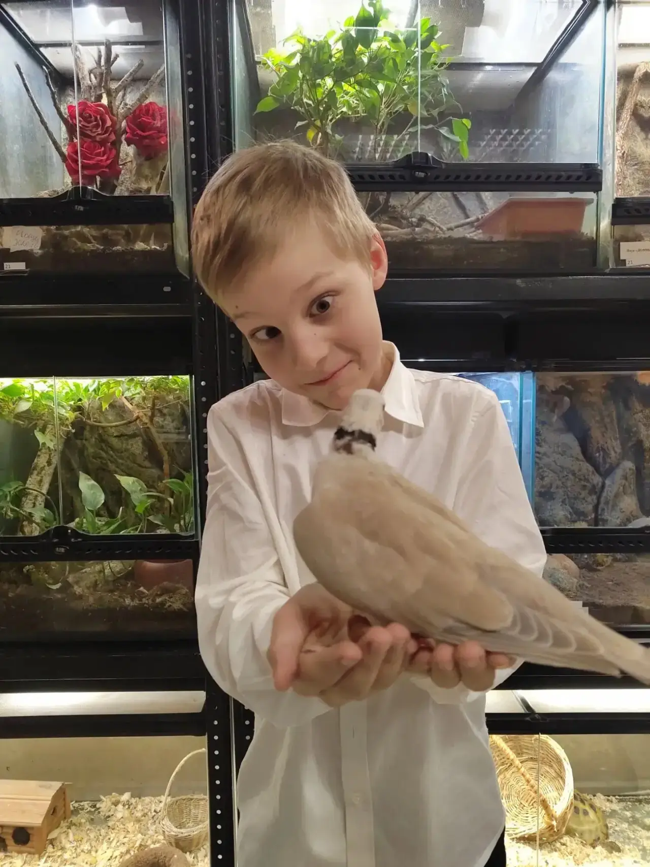 🌿 «ЭкоЛаб»: учебный год, полный открытий!

За этот учебный год участники кружка «ЭкоЛаб» сделали мн