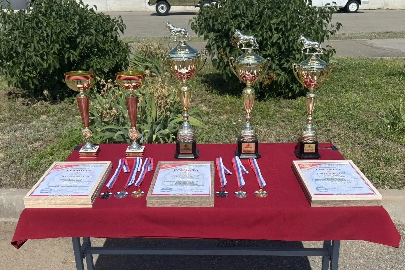 Росгвардейцы ДНР завоевали бронзу на чемпионате Южного округа по многоборью кинологов

Определились 
