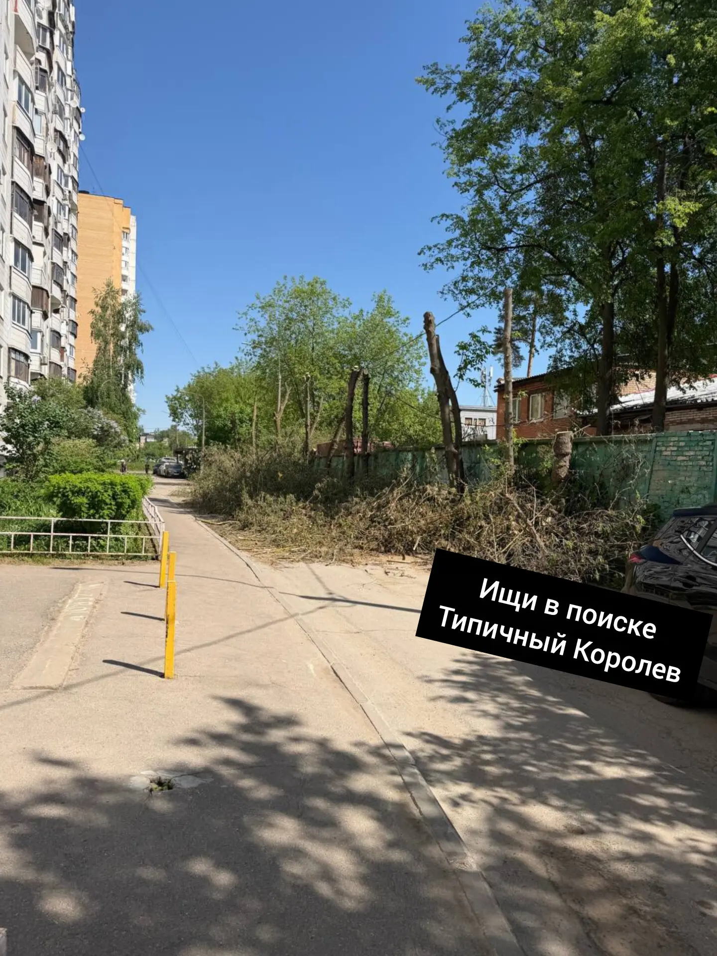 В четверг на Мичурина спилили ветки, сегодня почти вторник, ветки так и лежат, перекрыв въезд во дво