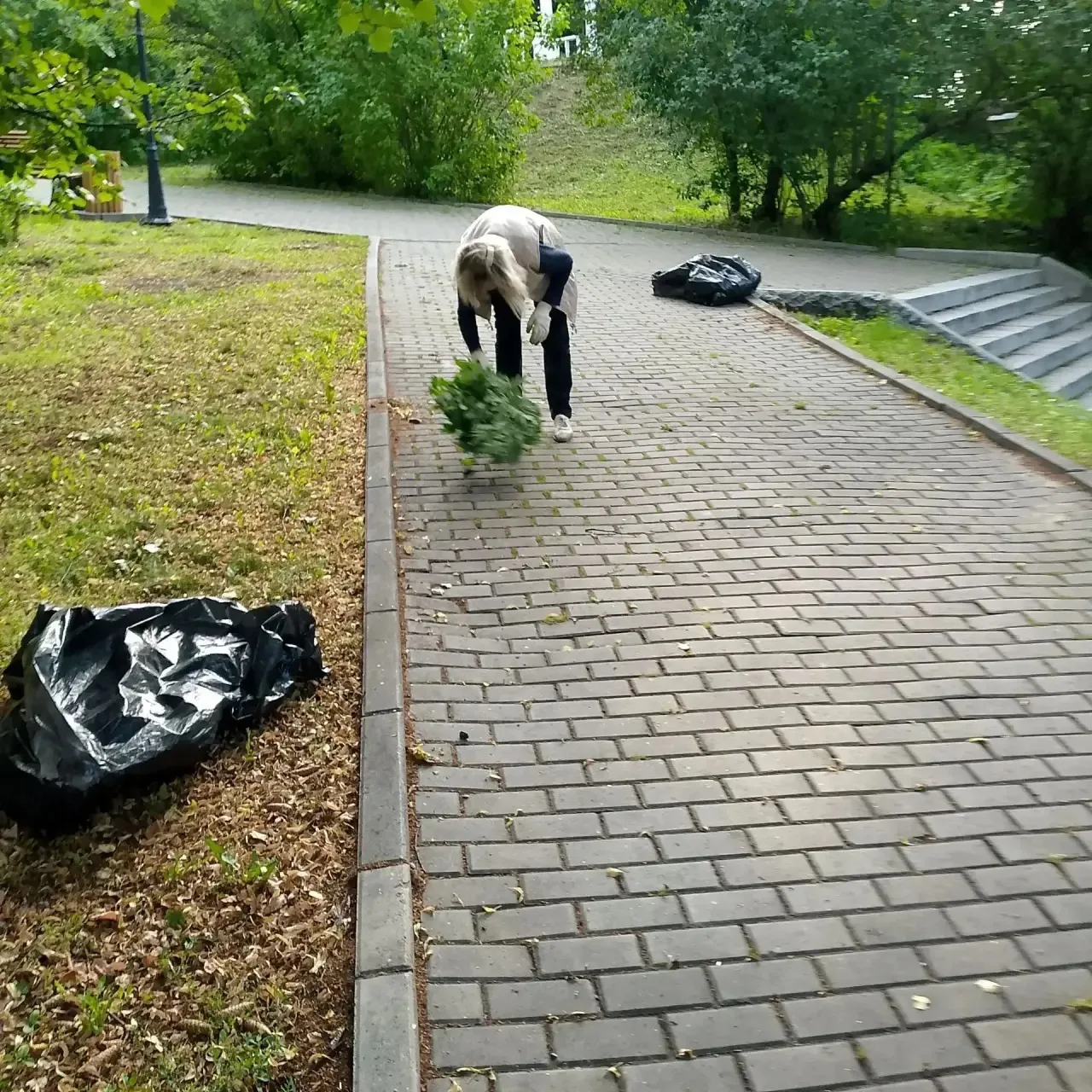 По поручению главы города Александра Болдакина в парке «Владимирский сад» проводятся ежедневные рабо
