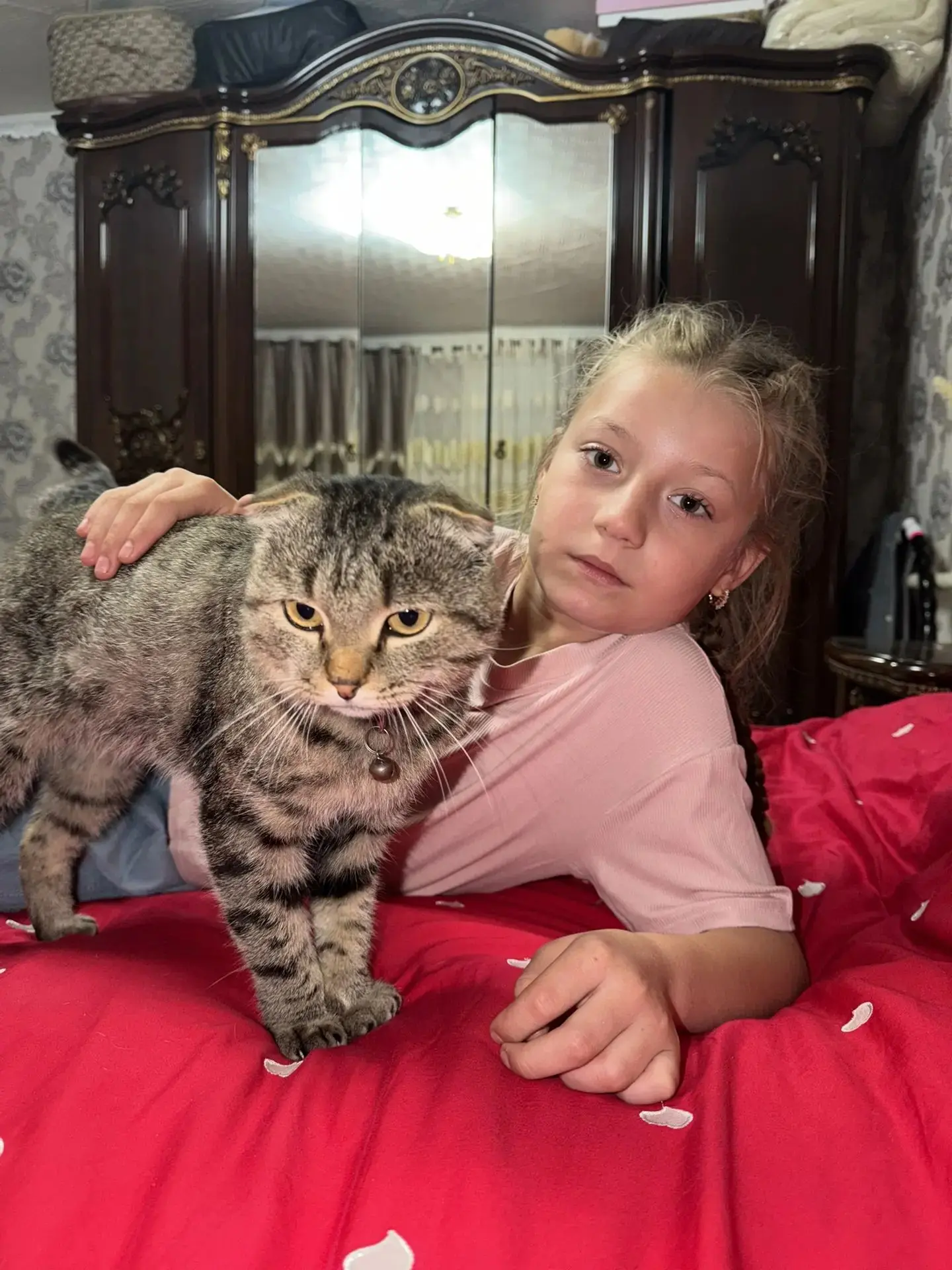 Серый пришёл к нам сам. Я влюбилась и оставила. Теперь он мой любимый кот. 🐾»