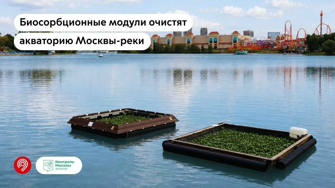 Бунино | Бунинская аллея | Москва🏡