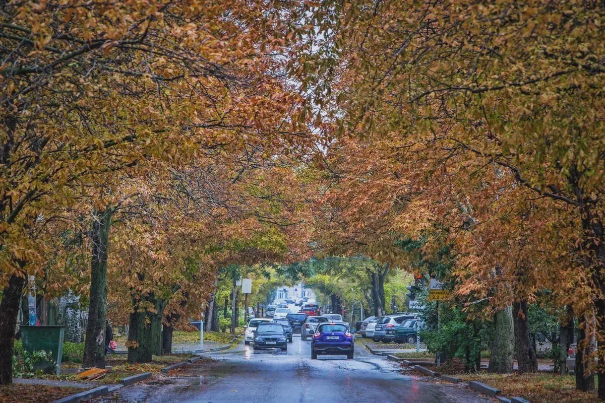 🍂 В Ростовскую область придёт тёплая осенняя погода