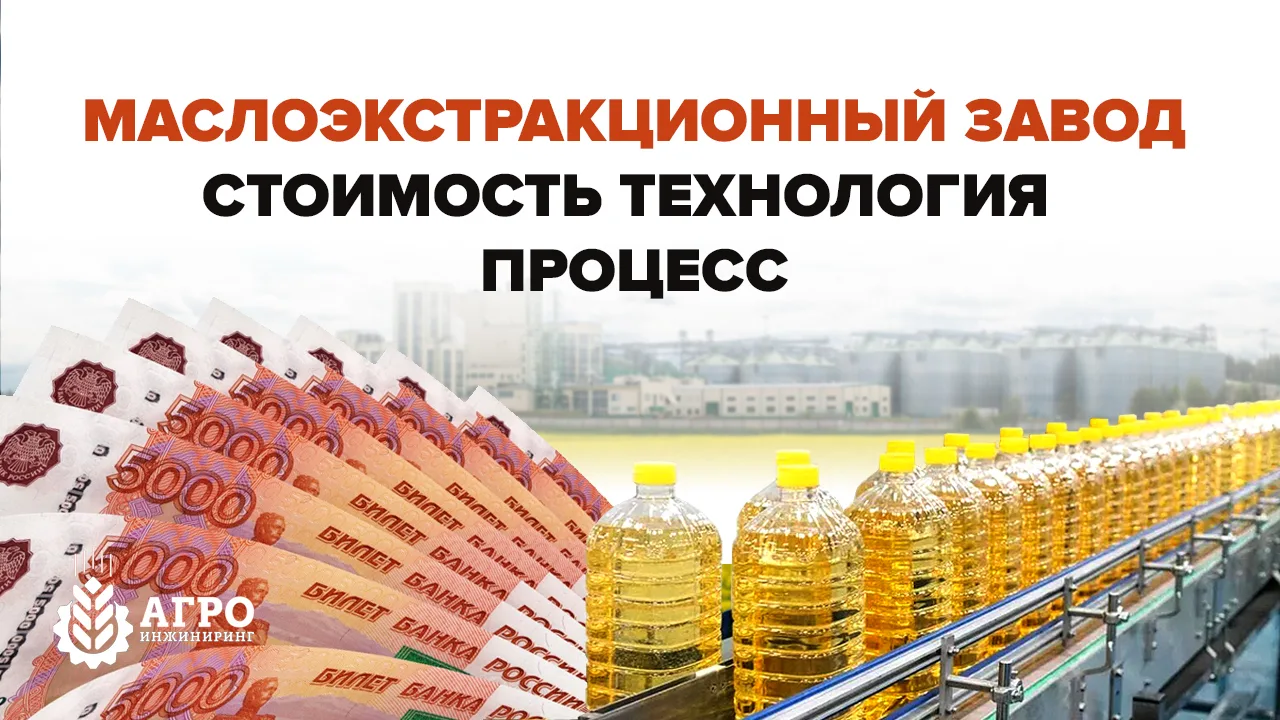 💰 СКОЛЬКО СТОИТ ПОСТРОИТЬ МАСЛОЭКСТРАКЦИОННЫЙ ЗАВОД И КАК ОН РАБОТАЕТ?

Вы когда-нибудь задумывалис