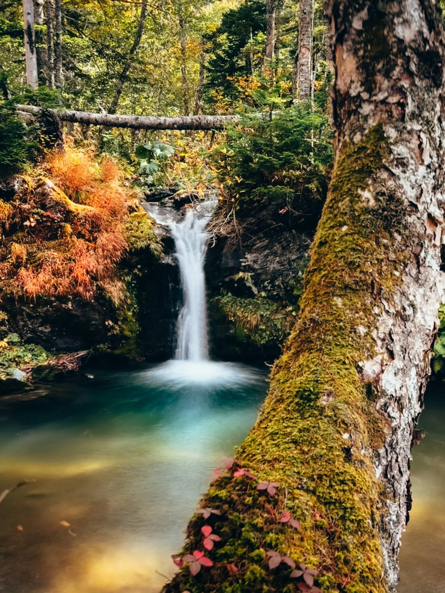💦Хомутовский водопад осенью