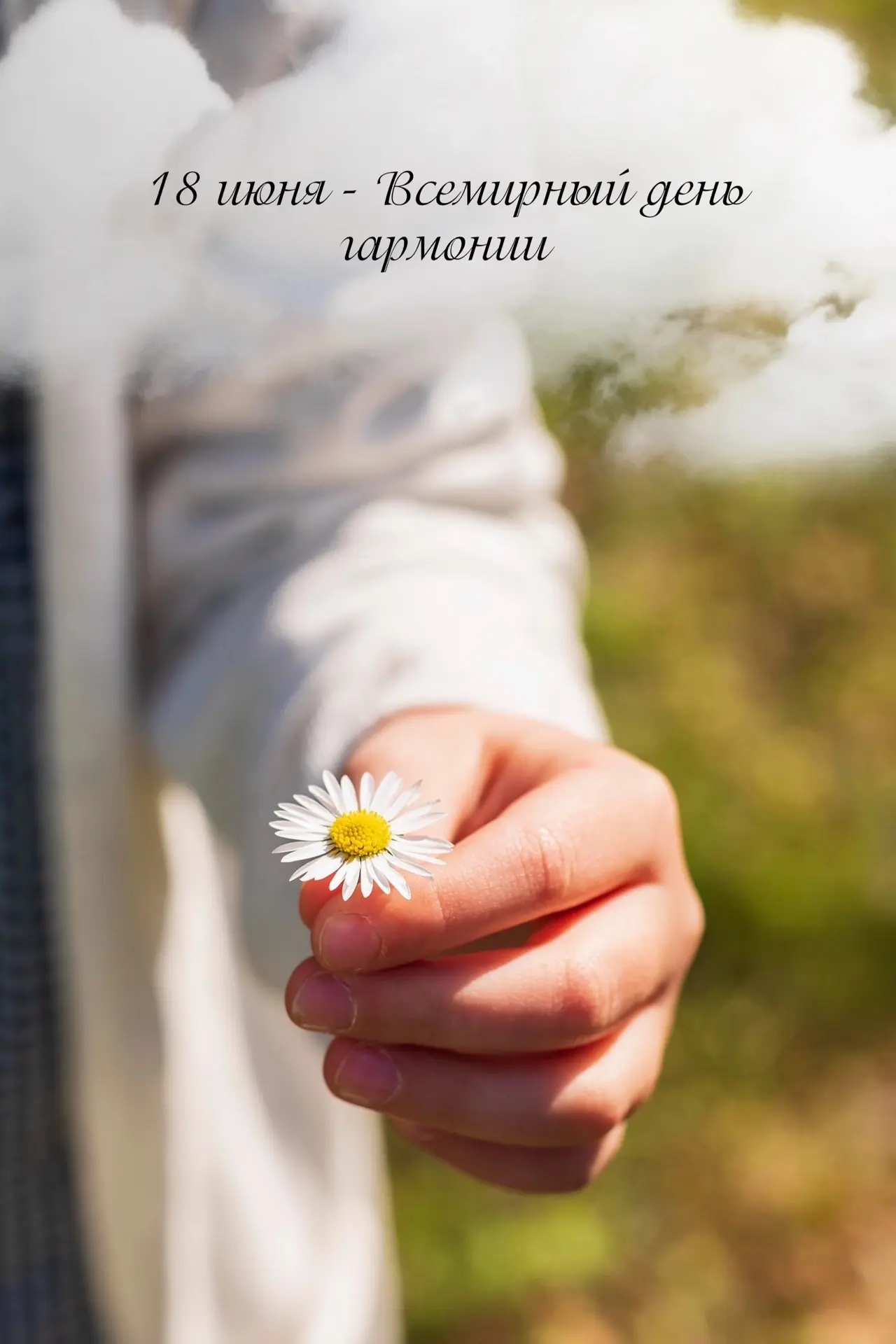 🌿 Всемирный день гармонии — прекрасный повод остановиться и прислушаться к себе. 
 
🧘‍♀ Гармония с