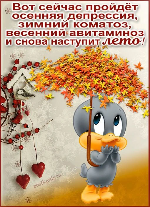 Открытки и поздравления — Подписывайся!
