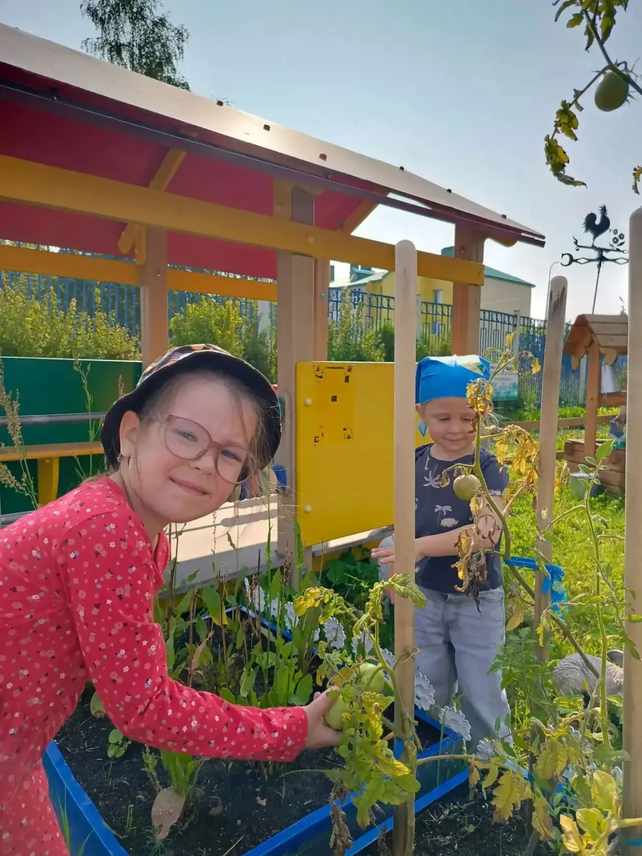 ✨На этой неделе мы с ребятами сходили на наш огород🥗