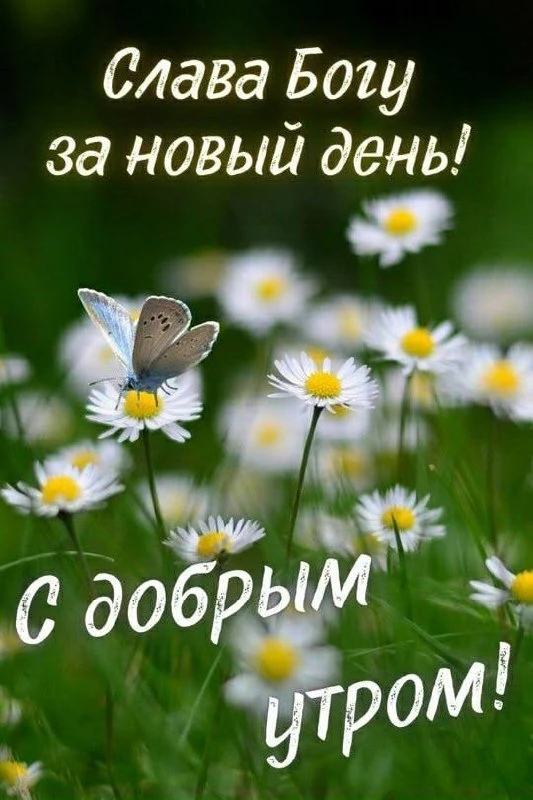 ❤️❤️❤️❤️Открытки❤️❤️❤️❤️