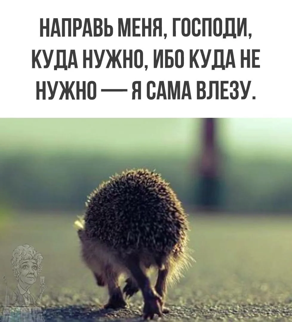 ПРИЧЕМ ВЛЕЗУ С ТАКИМ УВЕРЕННЫМ ВИДОМ, БУДТО МЕНЯ ТУДА НАГРАЖДАТЬ ПОЗВАЛИ!