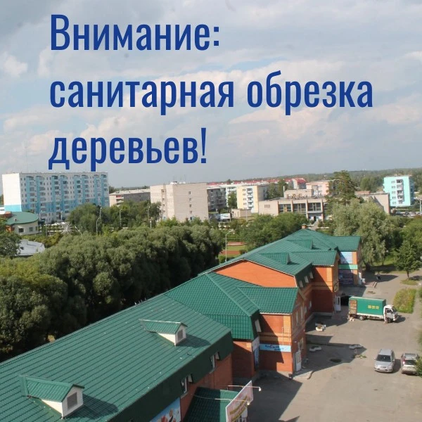 Внимание! Сегодня, 16 июня, в ЗАТО Сибирский будет проводиться санитарная обрезка деревьев вдоль заб