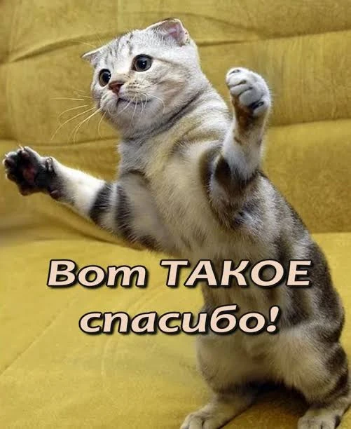 Нас почти 100 😻, поднажмем?