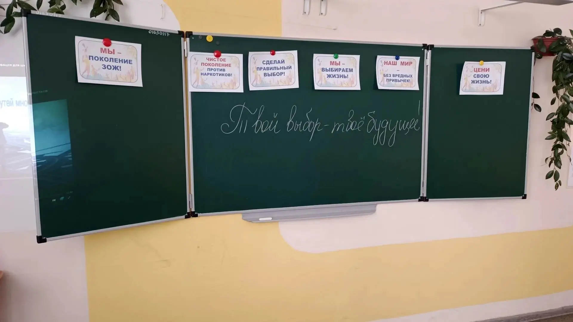 🌿 Чистое поколение — 2026: вместе за здоровое будущее!🌿