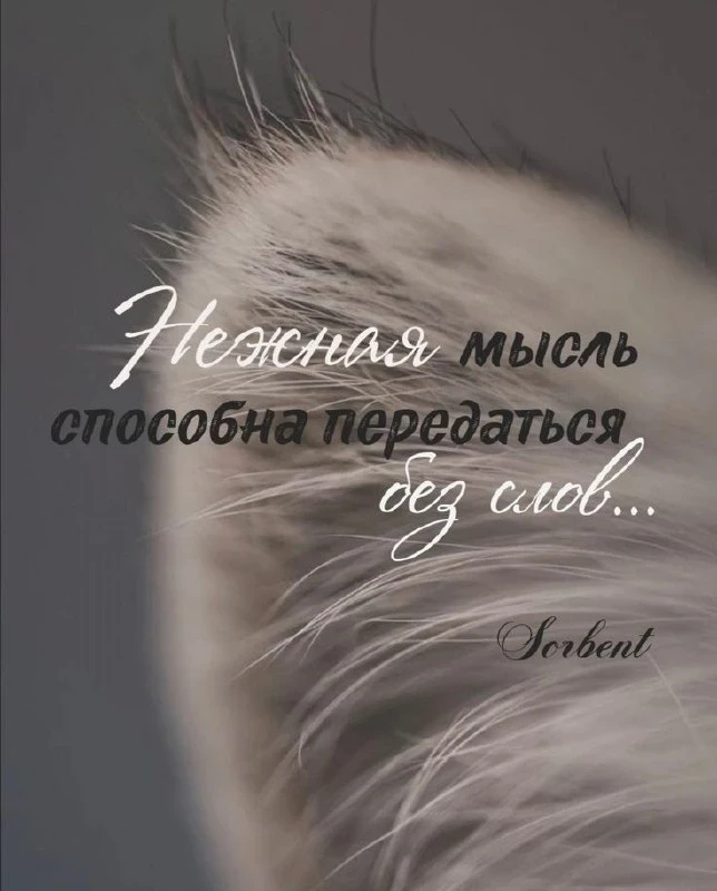 Штрих ниточкой